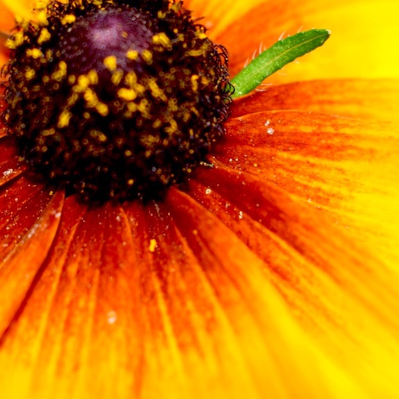 Meet your Posher, June - Picture 6 of 15